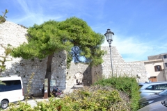 Erice