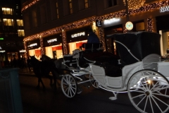 Galerie Lafayette