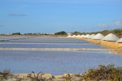 Marsala