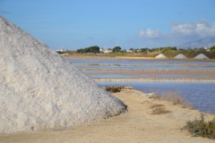 Marsala