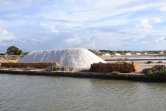 Marsala