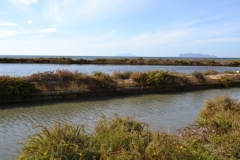 Marsala