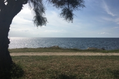 Marsala