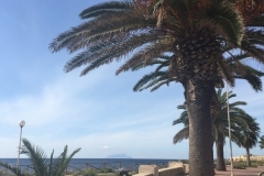 Marsala