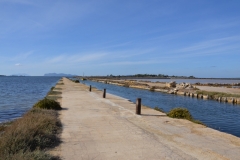 Marsala