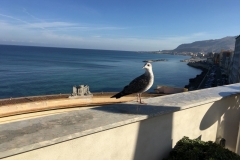 IMG_1898-800x600