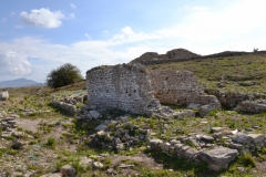 segeste-28