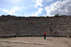 segeste-31