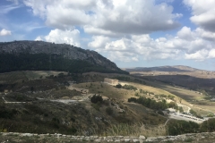 segeste-8