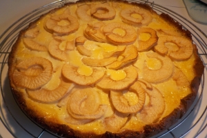 Apfelkuchen