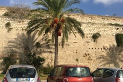 Trapani